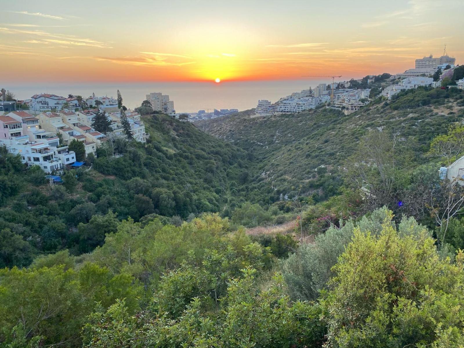 Sea View Carmel Mountain University حيفا المظهر الخارجي الصورة